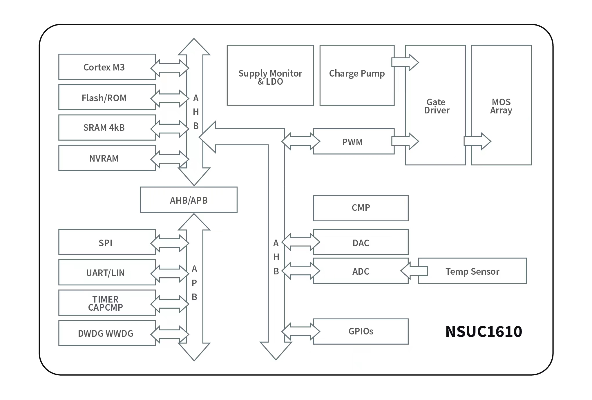 NSUC1610-1.jpg